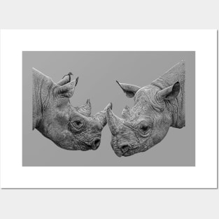 Rhino two heads are better than one! Posters and Art